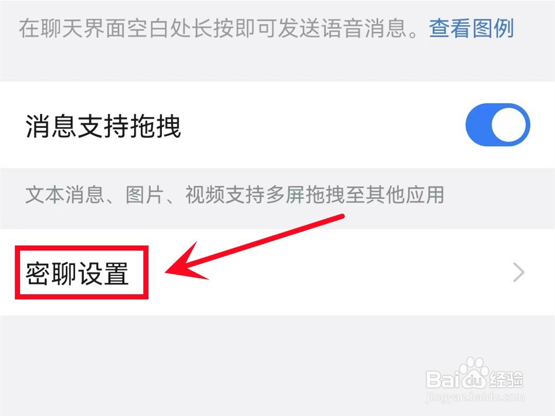 怎样设置钉钉密聊私密等级