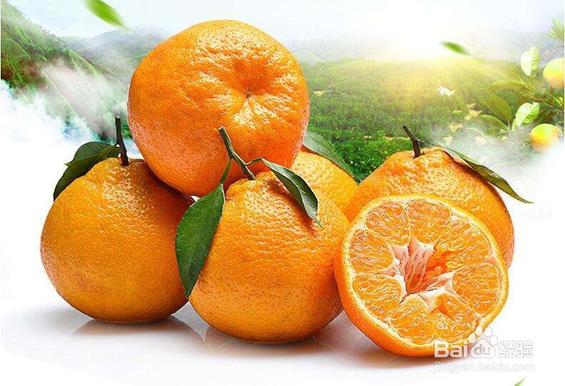 丑橘为什么贵？