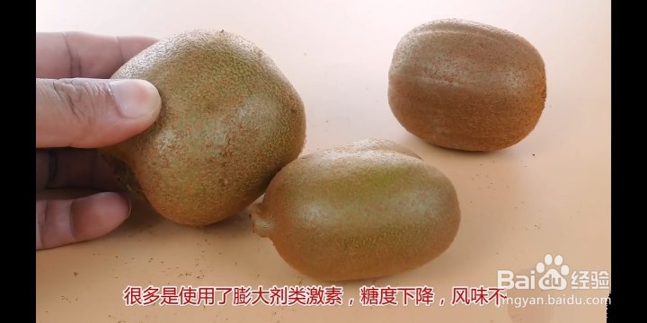 怎么挑选好吃的猕猴桃?