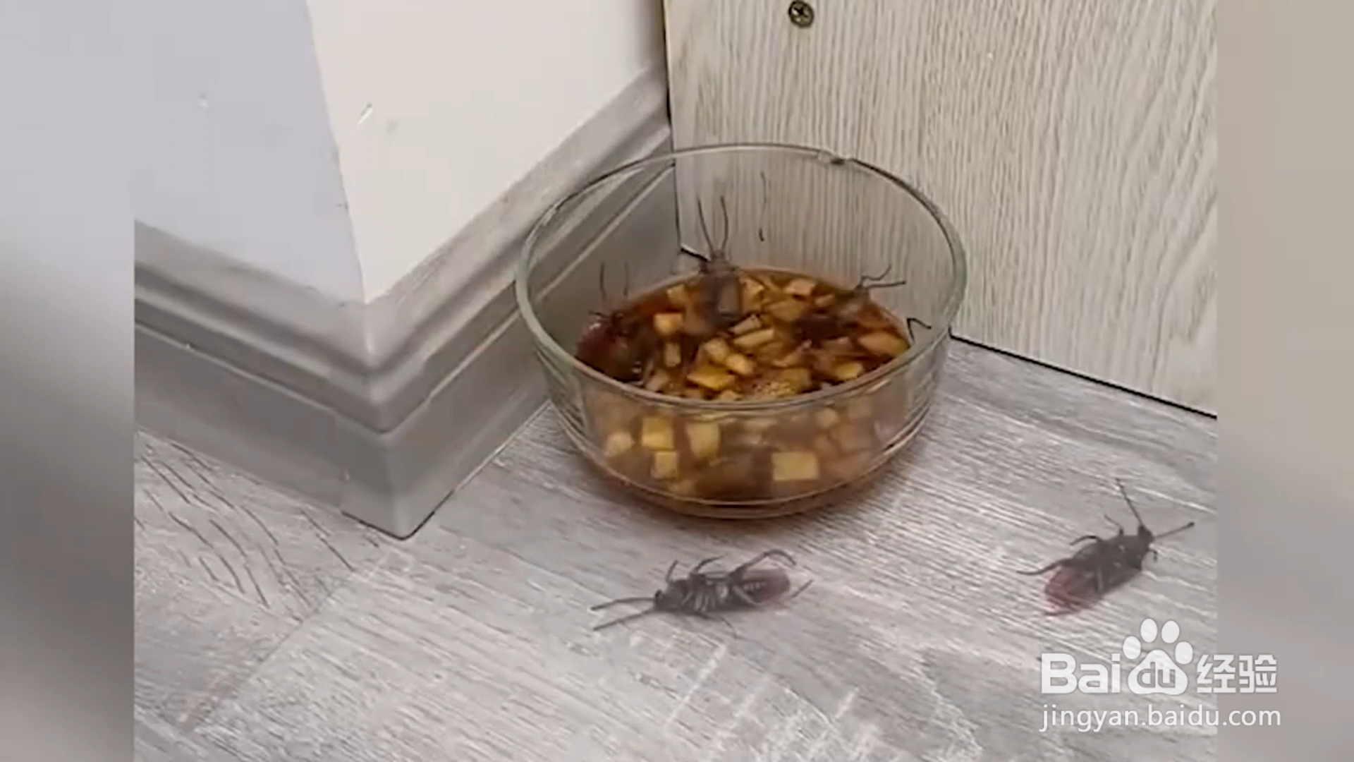如何去除家里的蟑螂