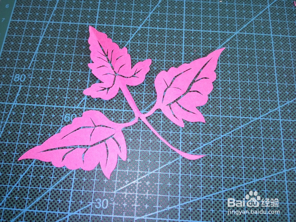 儿童剪纸之爬山虎叶剪纸教程