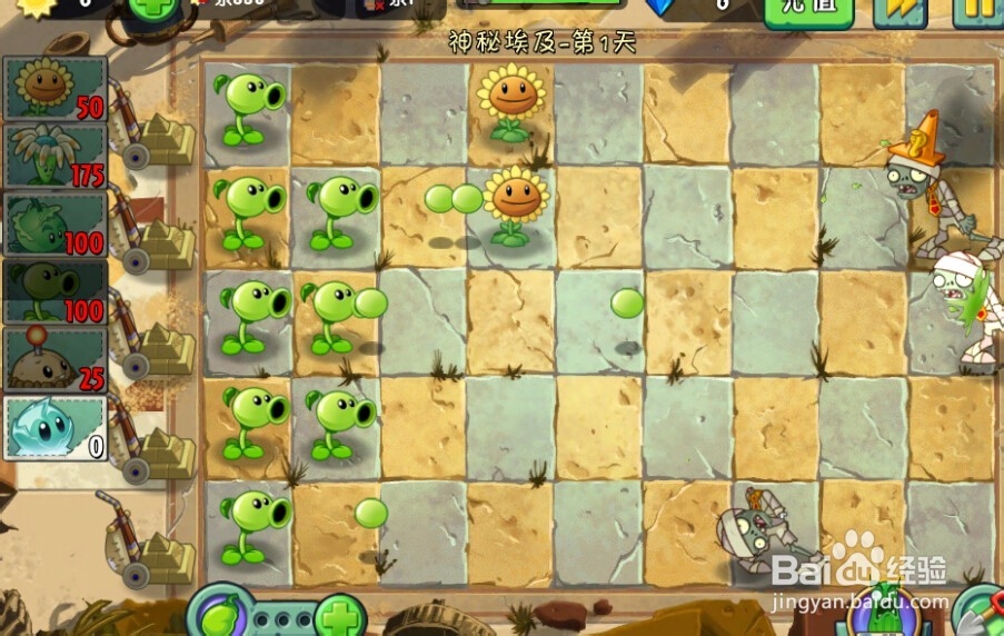植物大战僵尸2:第1天第3颗星(神秘埃及)