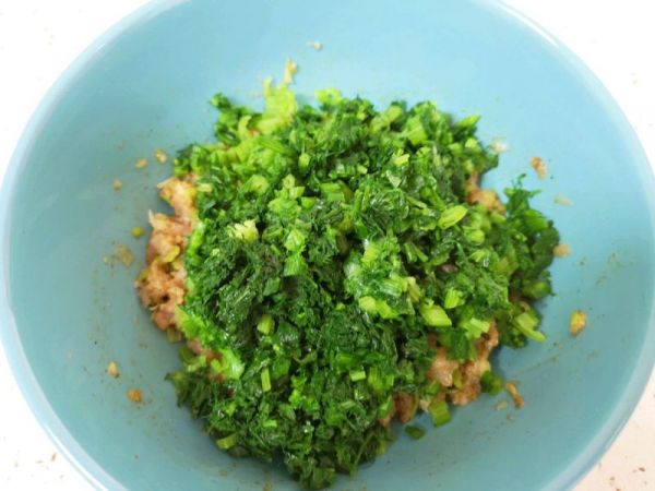 茴香大肉馅春卷