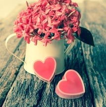 怎样去爱一个人呢？