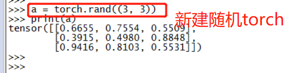 Pytorch tensor的基本属性操作
