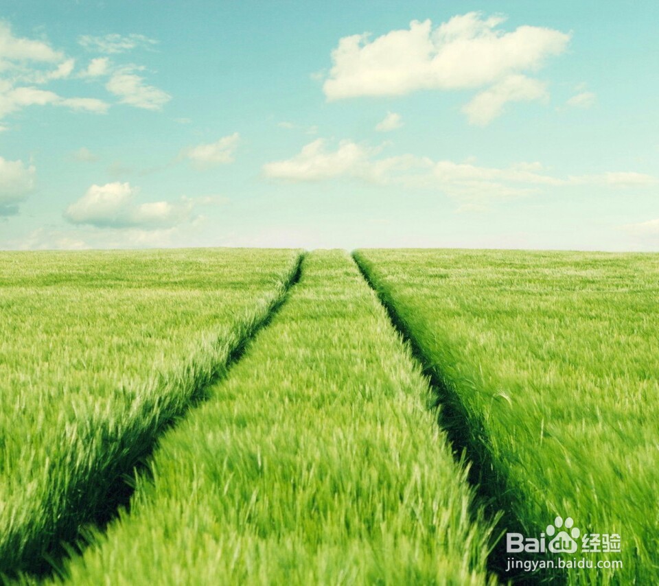 早上早起跑步好