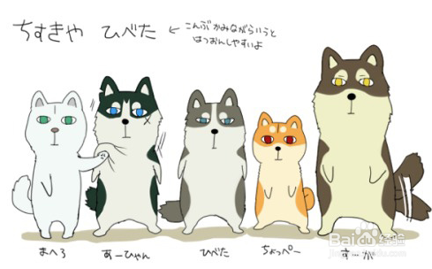 双十一单身狗怎么过