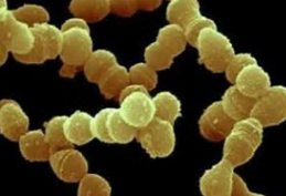 小孩子咳嗽的应对方法