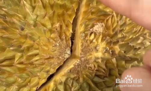 如何挑选榴莲