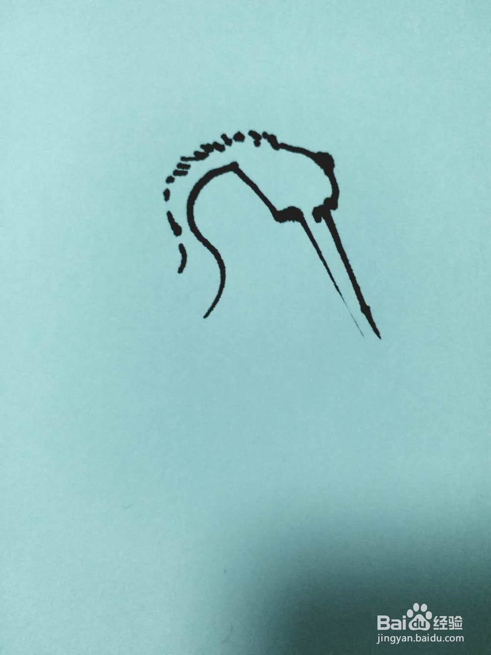海鹤的钢笔画