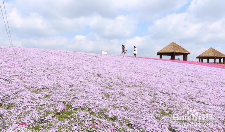 山里江南休闲度假区有哪些景观