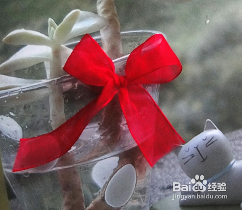 怎样点缀包装盒