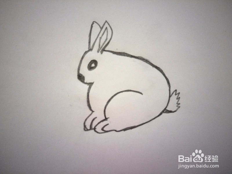简笔画—小白兔的画法