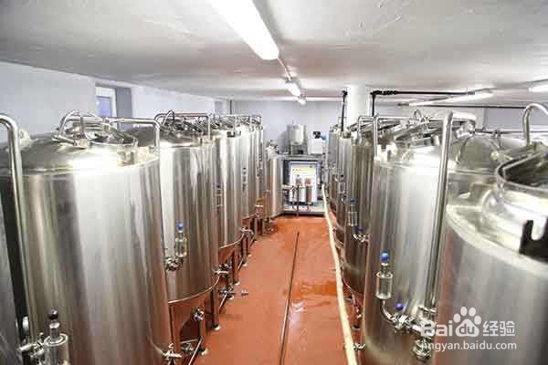 药桑果乳杆菌发酵饮料配方技术的研发