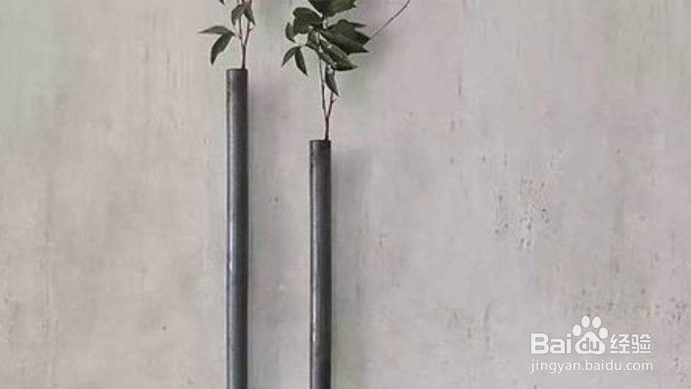 怎样在毛坯房里活成别人羡慕的样子?