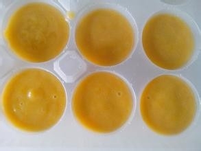 夏日DIY芒果沙冰