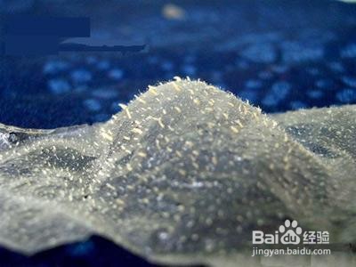 鼻子黑头怎么彻底去除