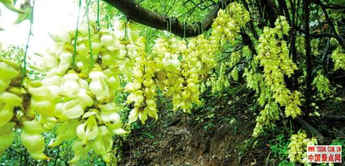 广东省内及周边景区“玩点”大比拼