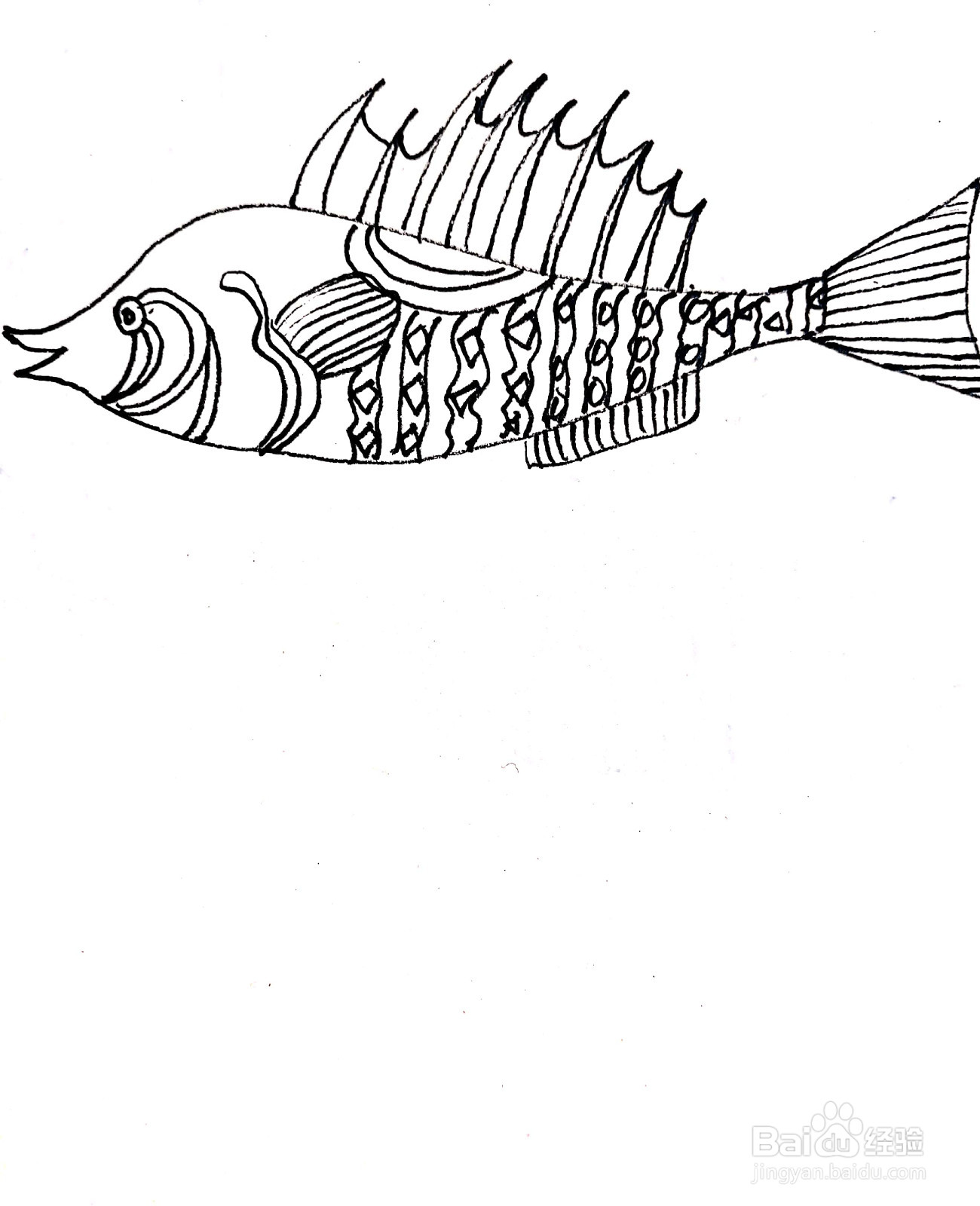 鲢鱼线描画怎么画