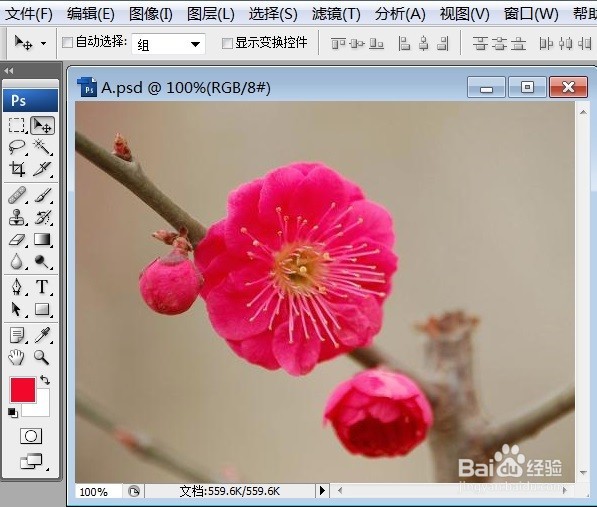 PS怎么让图片呈现便条纸的效果