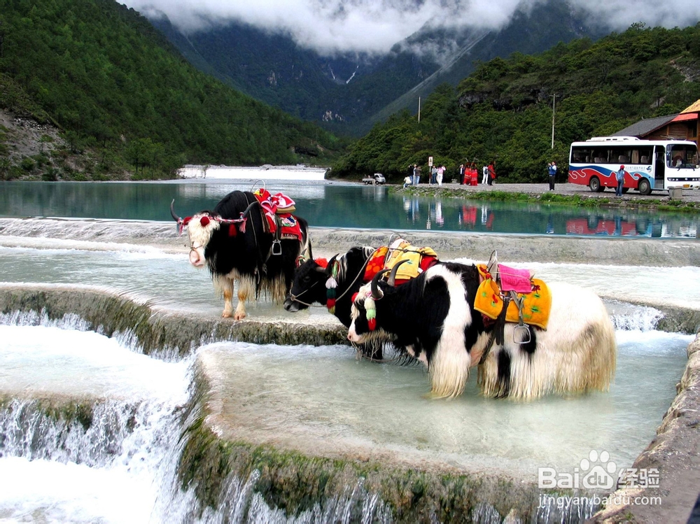 经常旅游对身体有哪些好处