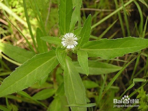如何改善阴虚体质？