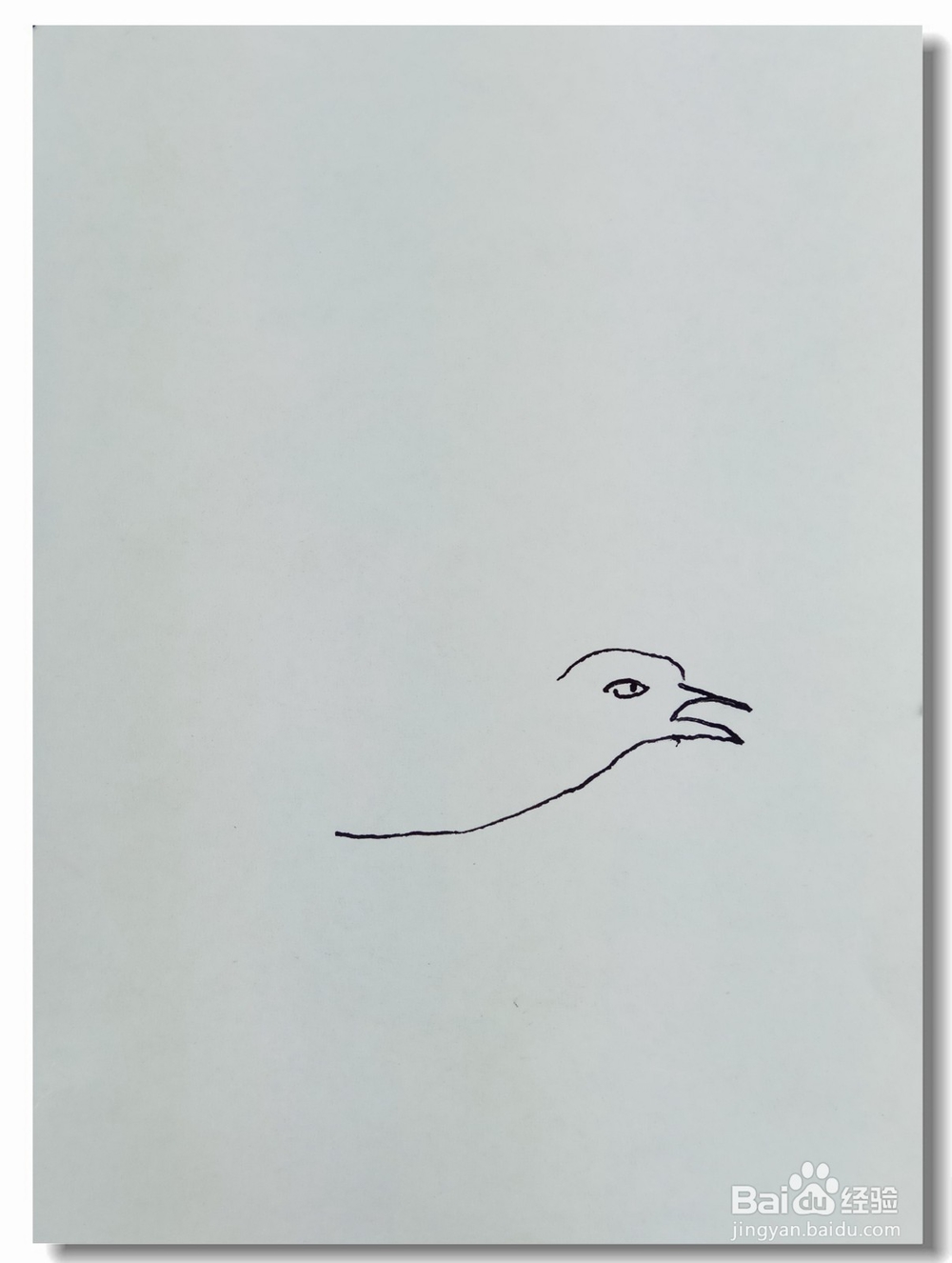 怎样画简笔画“枝头鸟”