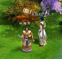 征途2望天涯任务
