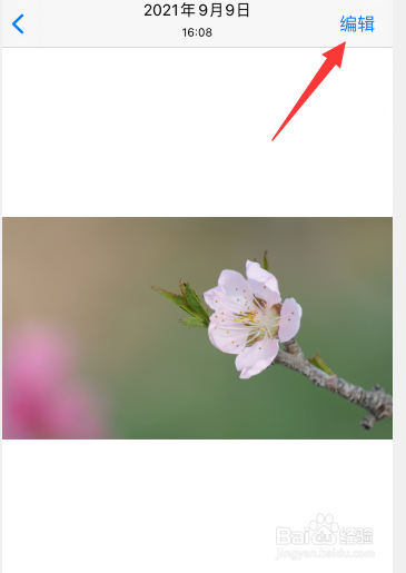 苹果手机怎么给照片添加箭头符号