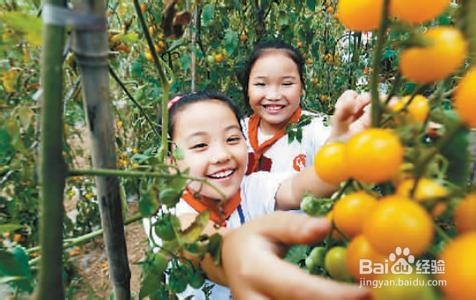 如何引导孩子合理安排暑假生活