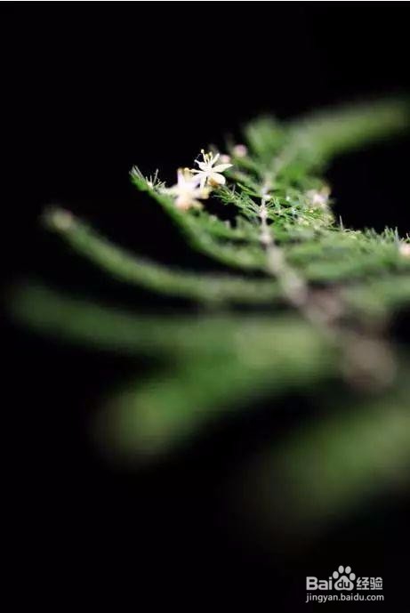 教你如何学习对焦,让你图片不在毁掉