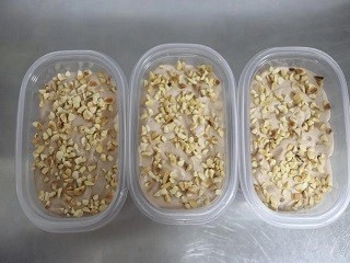 巧克力脆皮奶油盒子蛋糕怎么做？