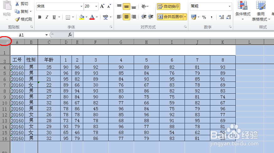 excel2010中如何调整行高和列宽