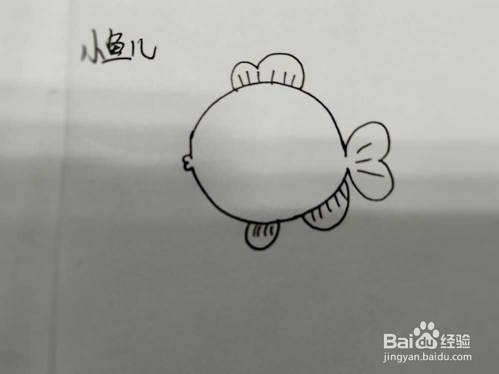 吐泡泡的圆嘟嘟的小鱼儿简笔画怎么画