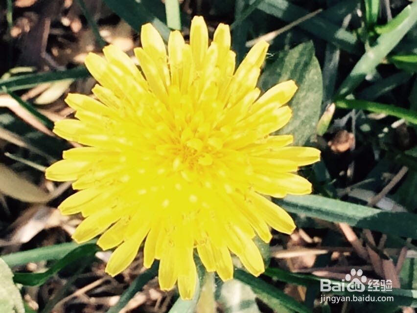 Plank运动从2分钟到13分钟