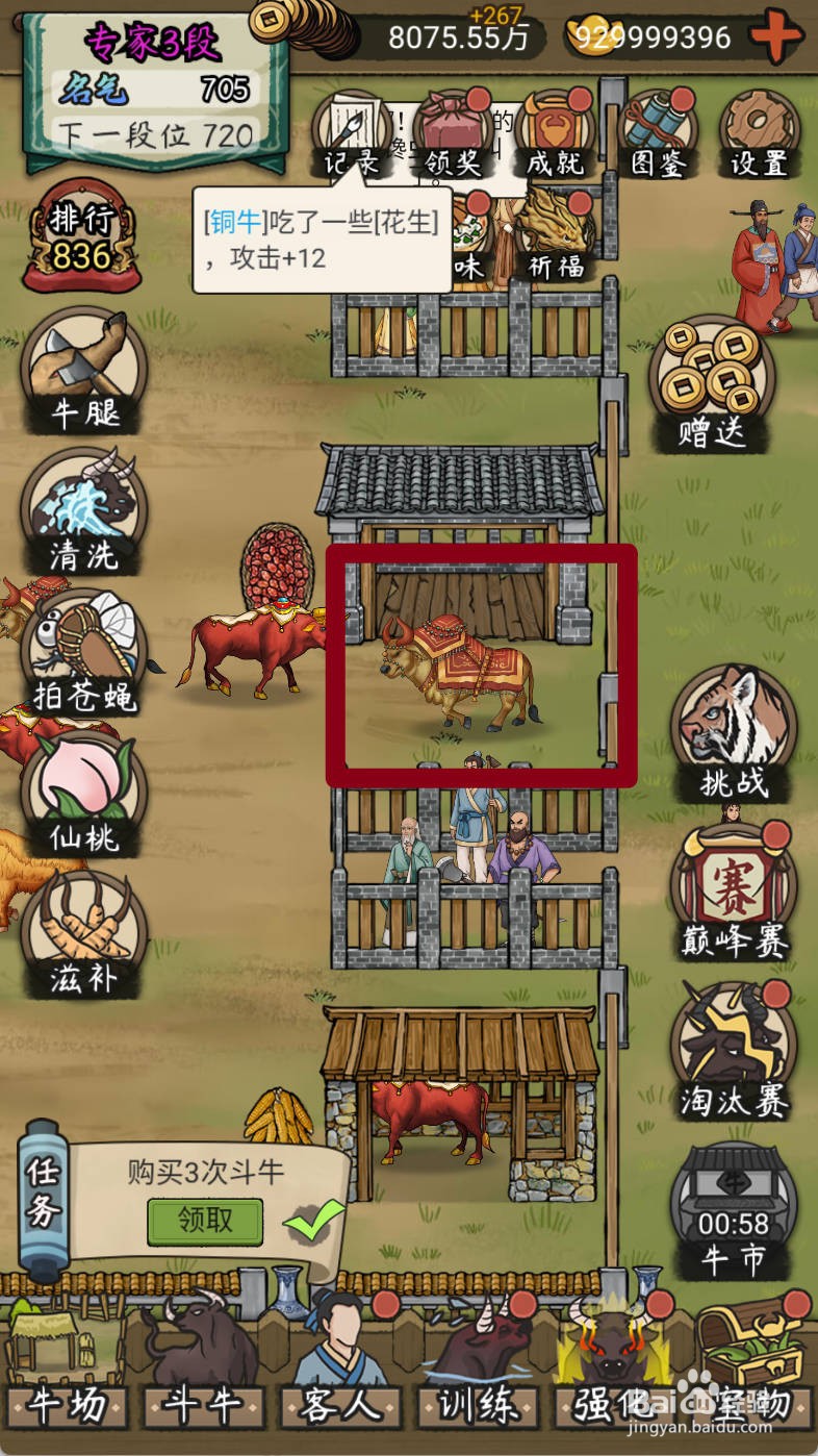 叫我养牛王如何购买顶过母狮子的阿山神牛