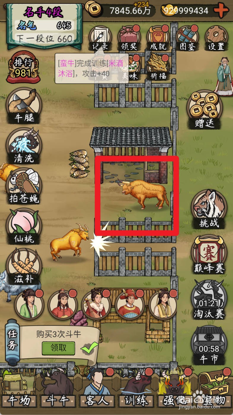 叫我养牛王如何购买顶过母狮子的非主牛