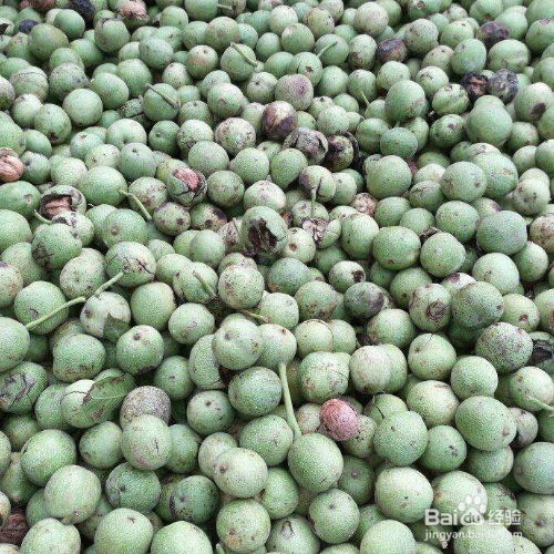 新鲜核桃怎样晾晒