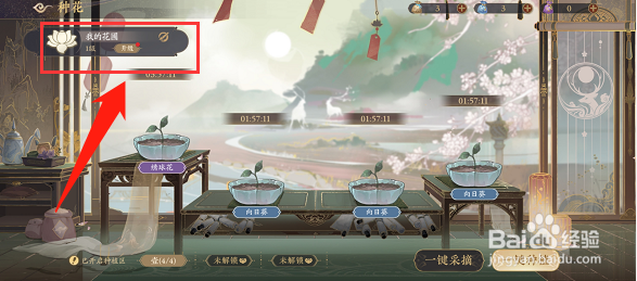 花亦山心之月花圃怎么升级