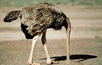 动物逃离危险的方法