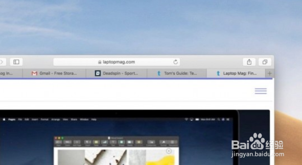 在macOS Mojave上怎么查看Safari中的Favicons