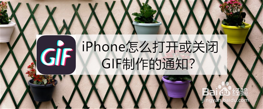 <b>iPhone怎么打开或关闭GIF制作的通知</b>