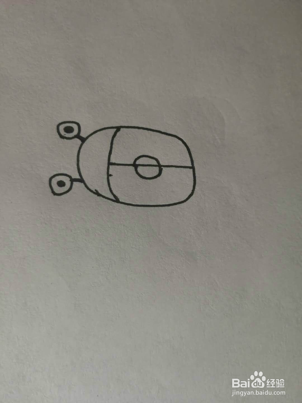 简笔画七星小瓢虫