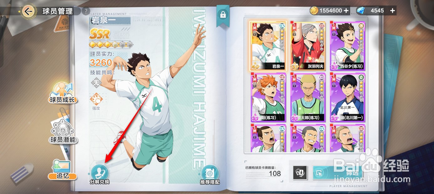 排球少年新的征程球员如何分解