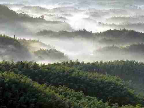 2011年重庆周边清明旅游好去处推荐