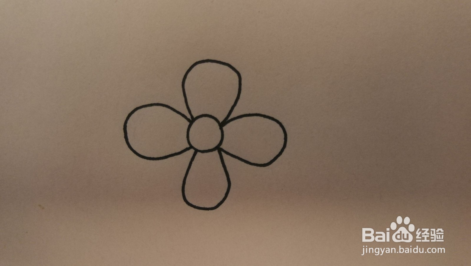 #经验分享官#花朵和叶子简笔画