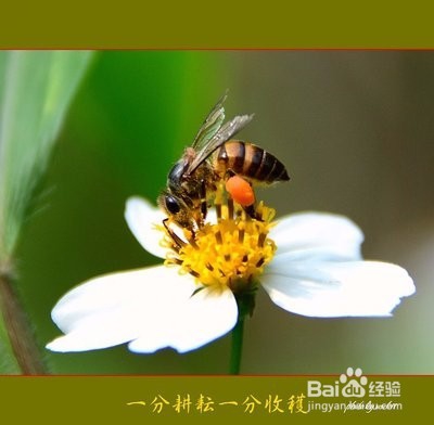 Android中的显示意图和隐式意图