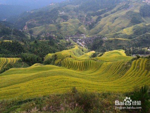 桂林旅游自驾游攻略