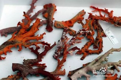 俏丽红珊瑚为你解密珠宝加工的九大流程！