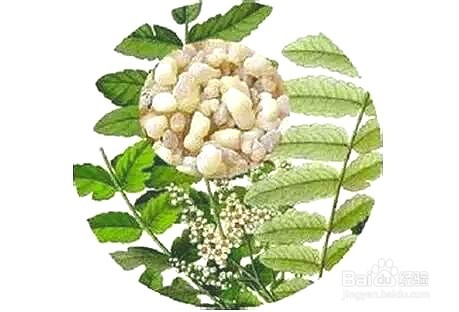 孕妈妈该如何护肤？